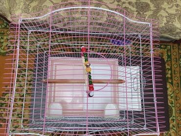Heyvanlar üçün mallar: Salam. Tep teze iri kletka satiram. Curuyu,eziyi pasi yoxdur — 6