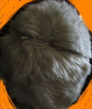 Шапка меховая. В отличном состоянии. Цена 5 манатов