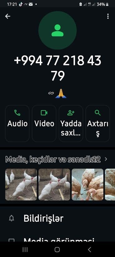 cins inekler azerbaycanda: Salam alekum bu hidusqa satandab 5 hidusqa zakaz etmisik pulu atmisiq — 11