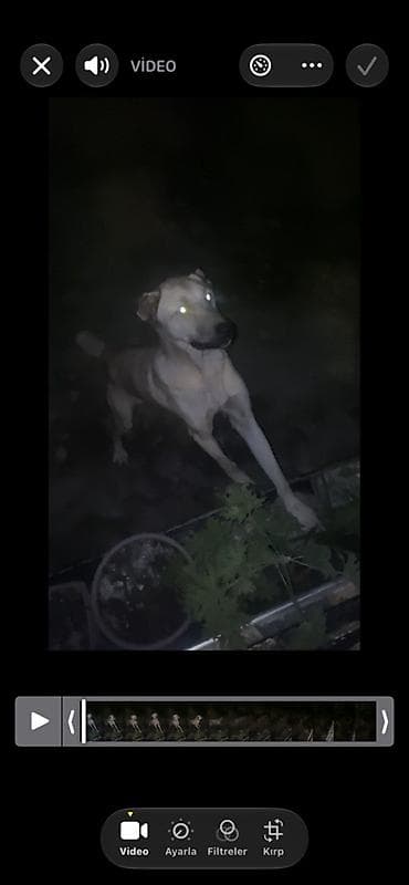 heyratı barter: Salam satilir barter ise var moto olar əgər yaxsi moto olsa artiq pul — 1