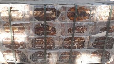 kerpiç: Kafel və bəzək plitələri – geniş çeşid - Formlar: altıbucaqlı mozaika — 19