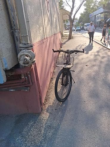 velosiped maşası: 29 Velosipet — 2