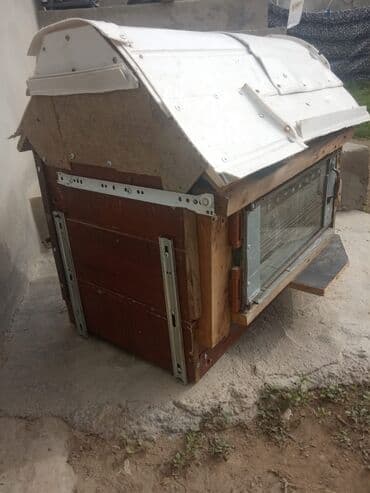 Yuvalar: Quş dam En 42 Sant uzunluğu 72 sant hündürlüyü 66 sant iç izaleyasiya — 12