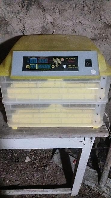inkubator mini: Təsvir: - Tam avtomatik yumurta inkubatoru - Rəqəmsal idarəetmə — 2