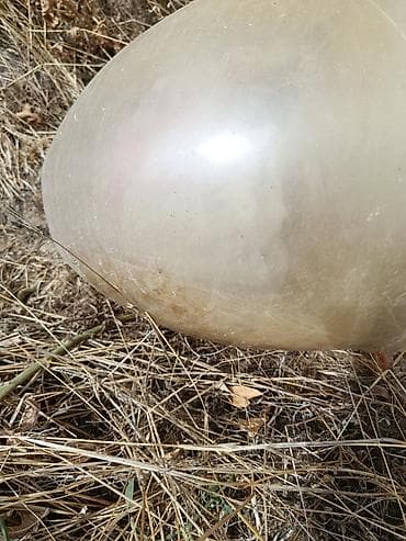 rengli guller: Böyük plastik çiçək qabı.4 dənədir Böyük qablardır Böyük bağlara və — 3