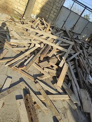 demir kesen misar: Bir qazeldi 4 metrelikk qazellə. Tikinti qalıqları – taxta şalban və — 3