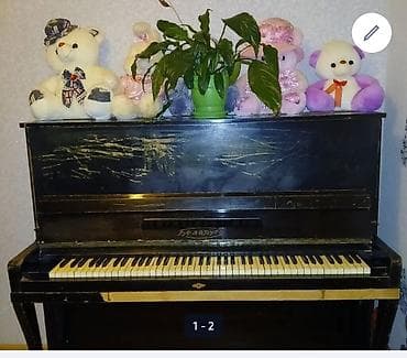 piano gence: Piano, Belarus, Akustik — 1