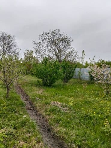 xacmazda satilan torpaqlar: 40 sot, Kənd təsərrüfatı, Mülkiyyətçi, Kupça (Çıxarış) — 2