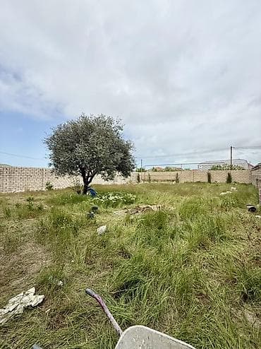 ucarda torpaq satilir: 6 sot, Tikinti, Kupça (Çıxarış) — 1