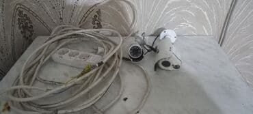 продажа аквариумных рыбок: Satilir 20m — 1