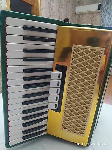 пианино ronisch цена: Акустический Аккордеон — 4