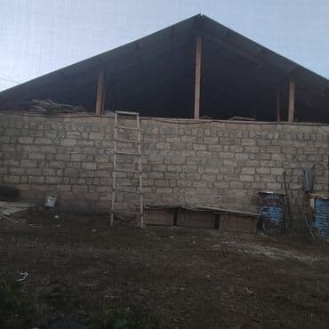 bilgəhdə həyət evləri: 8 otaq, 500 kv. m, Kredit var, Yeni təmirli — 3