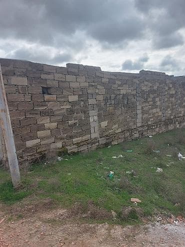 torpag sahesi: Tikinti — 6