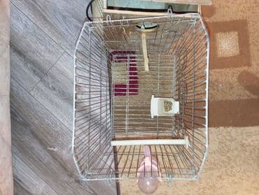 sumqayit qəfəs: Metal qəfəs, quş saxlamaq üçün nəzərdə tutulub. Qəfəsin içərisində yem — 1