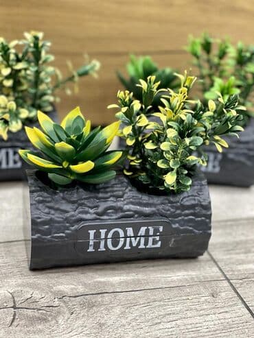 Растения: Dekor güller — 2