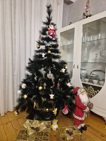 Горшки для растений: Sıx iynelu yolka İyneleri tökülənlərdən deyil 90 azn alınıb 1.80sm — 1