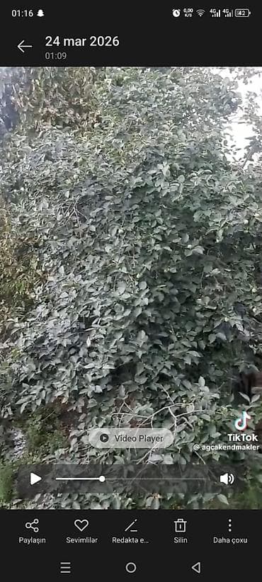 ev alqi satqisi haqqinda: Həyət evləri və villaların satışı — 7