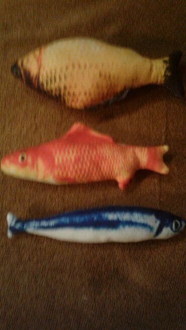 Geyimlər: Dovsandeniz donuzu ucun latok tuvalet satılır tezedi 1 ededi 13 azn — 10