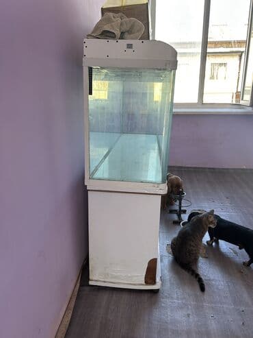 купить аквариум в баку: Аквариум-шкаф, Пустой, 525 л, Самовывоз — 1