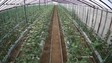 недвижимость в кусарах: Təcili ucuz qiymətə satılır. Salam aleykum, bildiyiniz kimi quru — 8