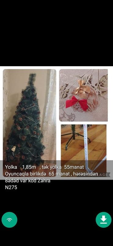 xurma ağacı: Yolkalar şaxda baba sekillerde qiymət məlumat qeyd olunub unvan Gence — 16