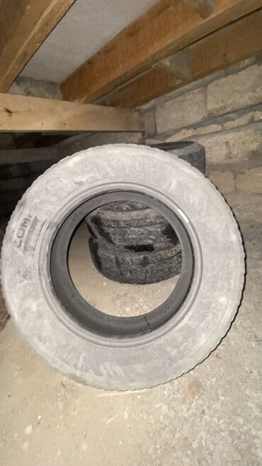 audi tt qiyməti: İşlənmiş Şin Lassa 215 / 65 / R 16 — 2