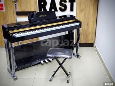 электронное пианино: Пианино, Цифровой, Новый, Самовывоз — 6