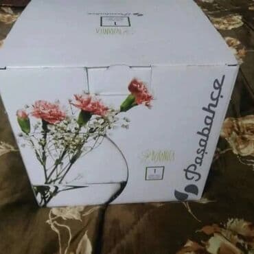 İtlər: Yumru akvarium, 3 l — 2