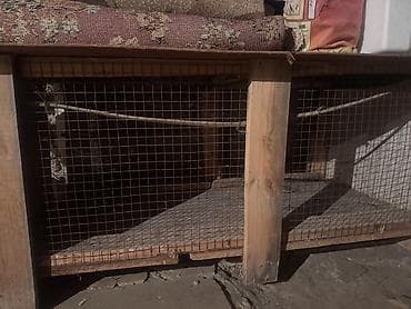 hinduşka balaları: Taxta karkaslı torlu heyvan qəfəsi toyuq-cücə, dovşan, hind toyuğu — 1