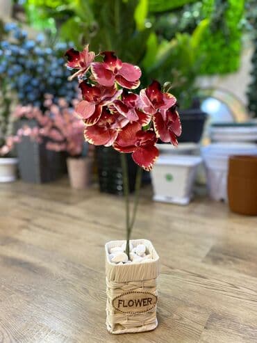 bitki toxumlari: Depodan bir basa satis 70azn baslayan dekarativ suni agaclar topdan — 15