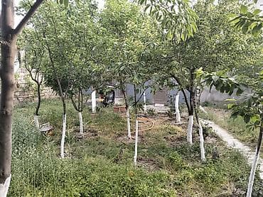 kiryaye evler: Sumqayıt, 5000 kv. m, 8 otaq, Hovuzsuz, Qaz, İşıq, Su — 4