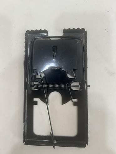 Şlanqlar: Siçan qovan — 1