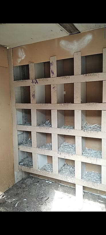 qarderob yuvası: Quşxana satlir 200 manata demeli ölcusü 2.20 .2.10 təmiz icinin ölçüsü — 3