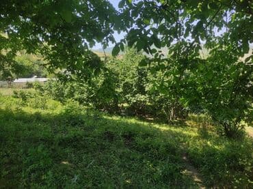 продажа недвижимости в баку: 20 sot, Kupça (Çıxarış) — 8