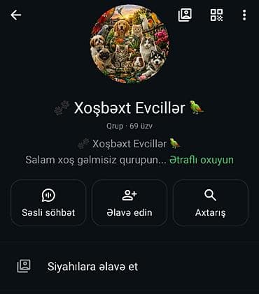 pulsuz video cat: Salam Vhatsap qurupu heyvanların alışı satışı marağı olan xanım və — 2