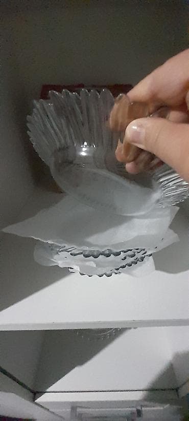 Bitkilər: Boşqablar, Şüşə — 3