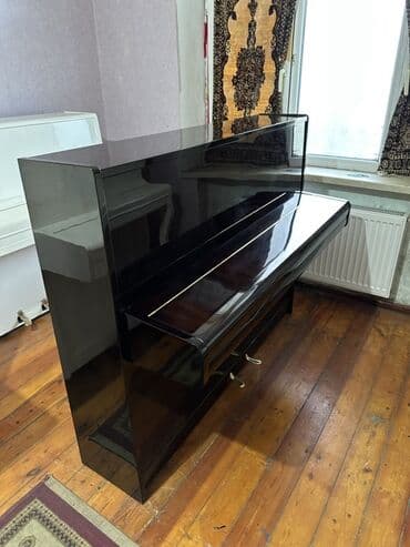 hədəf azərbaycan dili qayda kitabı qiyməti: Piano, Petrof, Akustik, Yeni, Pulsuz çatdırılma — 14