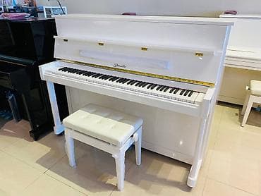 AKUSTIK PIANO RITMULLER. Hər gün 400, illik 140 000 ədəd piano