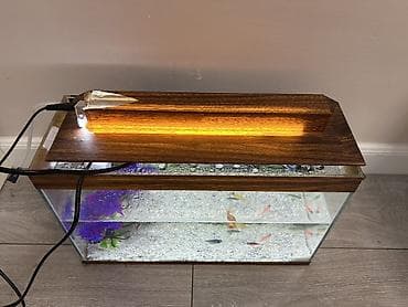 syomqa baliq: Akvaryum dəsti – şüşə korpus və taxta görünümlü üst örtük ilə - Ölçü — 1