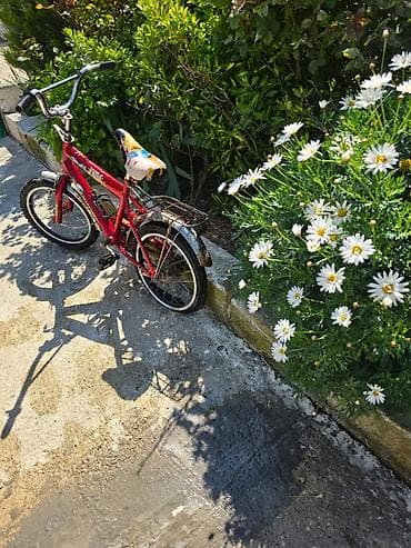 velosiped rambo 24: Uşaq velosipedi – 16" təkərli, şəhər və həyət sürüşləri üçün - Rəng — 3