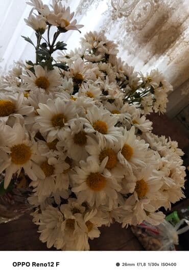 surucu isi axtariram: Xi̇rdalan erazi̇si̇nde gundeli̇k maas olan bi̇r i̇s i̇steyi̇rem.Ozum — 2