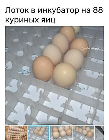 Заводское производство