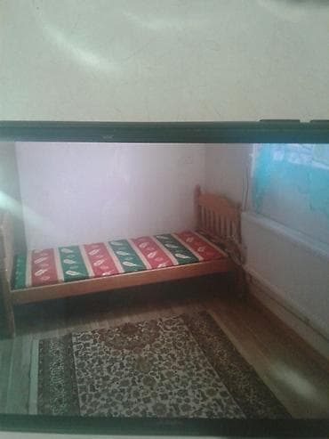 ayliq kiraye ev: 30 kv. m, 1 otaqlı, Kombi, İşıq, Kanalizasiya — 3