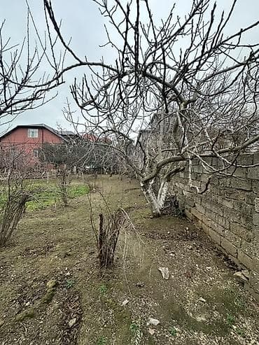 emlak gence: 5 sot, Tikinti, Makler, Kupça (Çıxarış) — 5