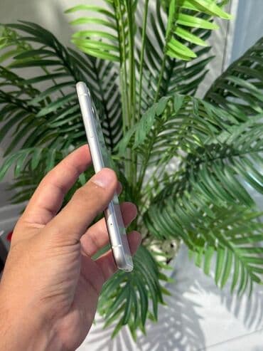 inoi 243: Inoi 100 — 2