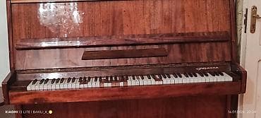 Musiqi alətləri: Upright pianino – “Ukraina” markası - Korpus: təbii ağac şponu — 4