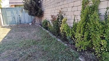 hokmelide satilan evler: Bağ evi satılır, Məhəmmədidə yerəşir,1 otaq, 1 Mətbəx, sanitar qovşağı — 1