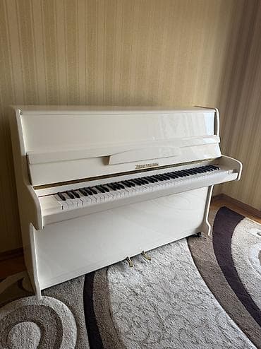 musiq: Piano, Zimmermann, Akustik — 9