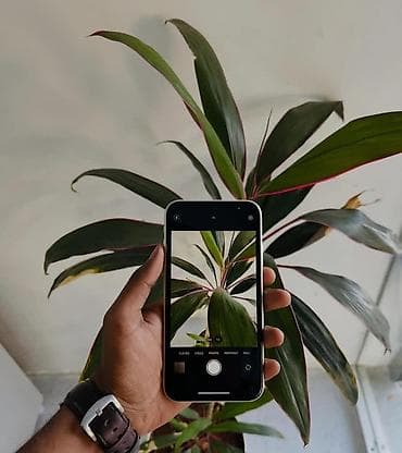 iphone 14 pro islenmis: IPhone 11, 256 GB, Ağ, Zəmanət, Kredit, Barmaq izi — 5