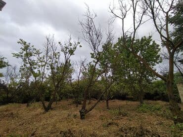 готовые дома продажа: 5 otaqlı, 2500 kv. m, Kredit yoxdur, Təmirsiz — 12